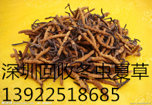 ڻնxĲ