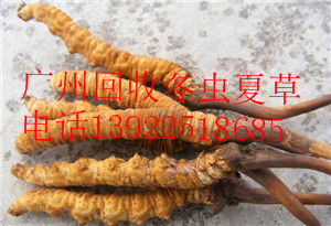 VݻնxĲ