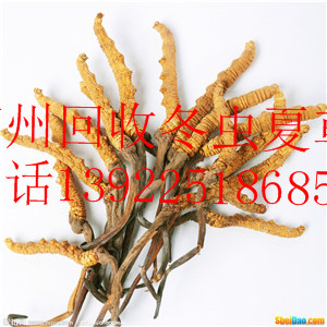 www.huiqian88.net