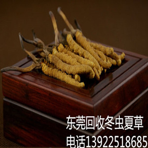 |ݸնx(chng)Ĳ