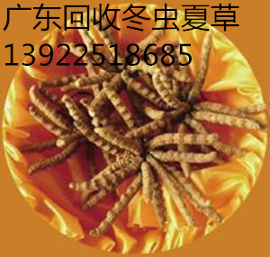ڻնxĲ