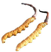 նxĲ